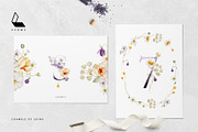 Juliana | Botanical set, an Illustration by Karma (Thumbnail 14 of 20)