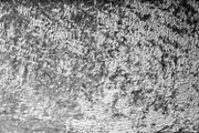 Wool and Fur Texture Wool Background, a Background Photo by VetalStock (Thumbnail 5 of 5)