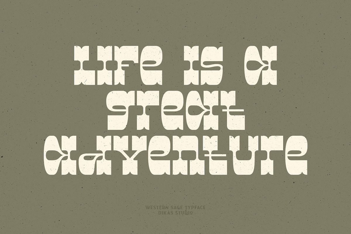 Western Sage, a Slab Serif Font by Dikas Studio (Photo 8 of 10)