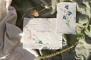 Summer Watercolor Wildflowers, a Decorative Illustration by Les Frolova (Thumbnail 5 of 11)