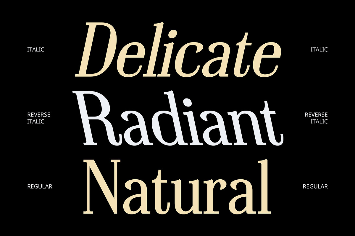 Broquet – Contemporary Font, a Serif Font by Craft Supply Co. (Photo 3 of 8)