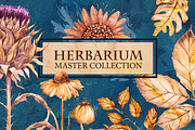 Herbarium Master Collection, a Decorative Illustration by AlexGreenArt (Thumbnail 1 of 12)