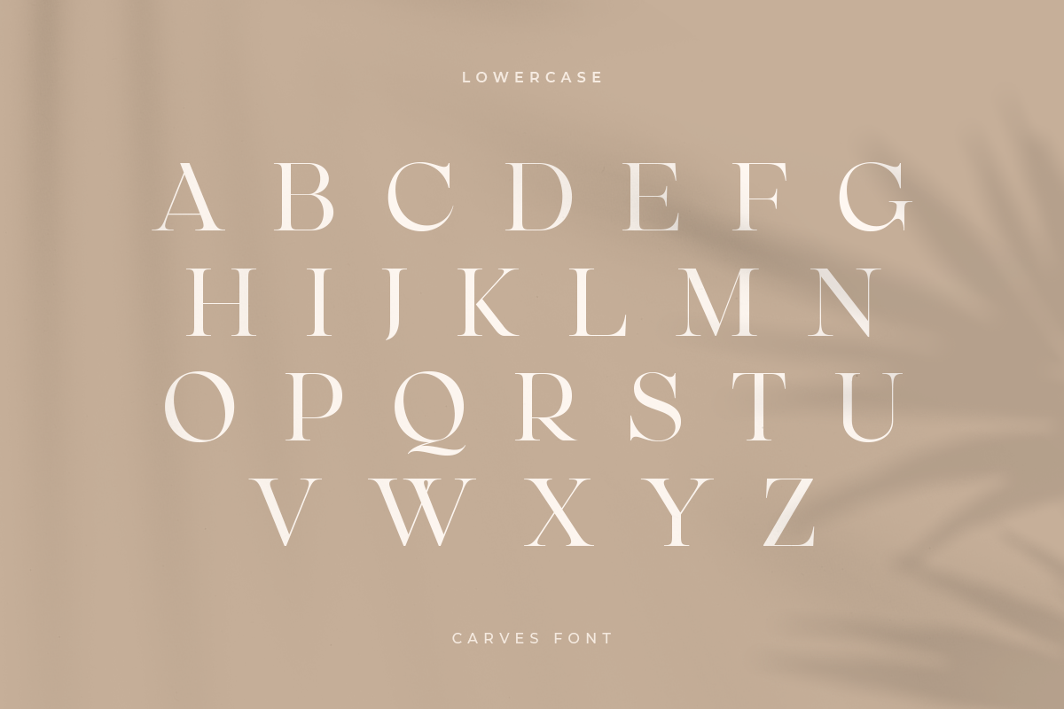CARVES - Modern Display Font, a Sans Serif Font by Sensatype (Photo 14 of 20)
