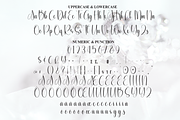 Rhinestone | Script Font, a Handwritten Font by Scratchones (Thumbnail 7 of 9)