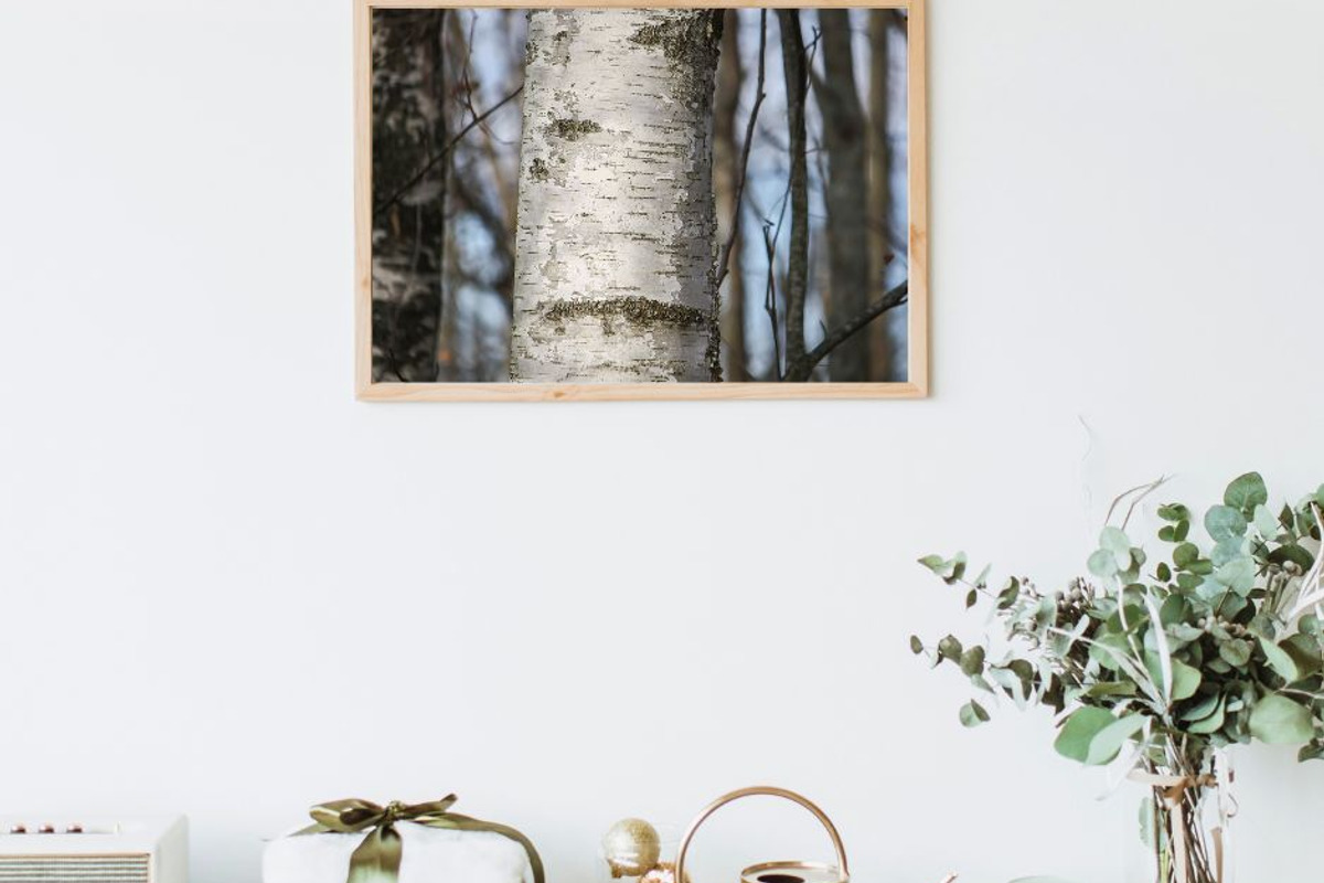 Autumn nature photography set, a Nature Photo by pictures for you (Photo 4 of 22)