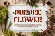 Brown Bridge | Art Deco Display Font, a Sans Serif Font by Ekahermawan (Thumbnail 7 of 15)