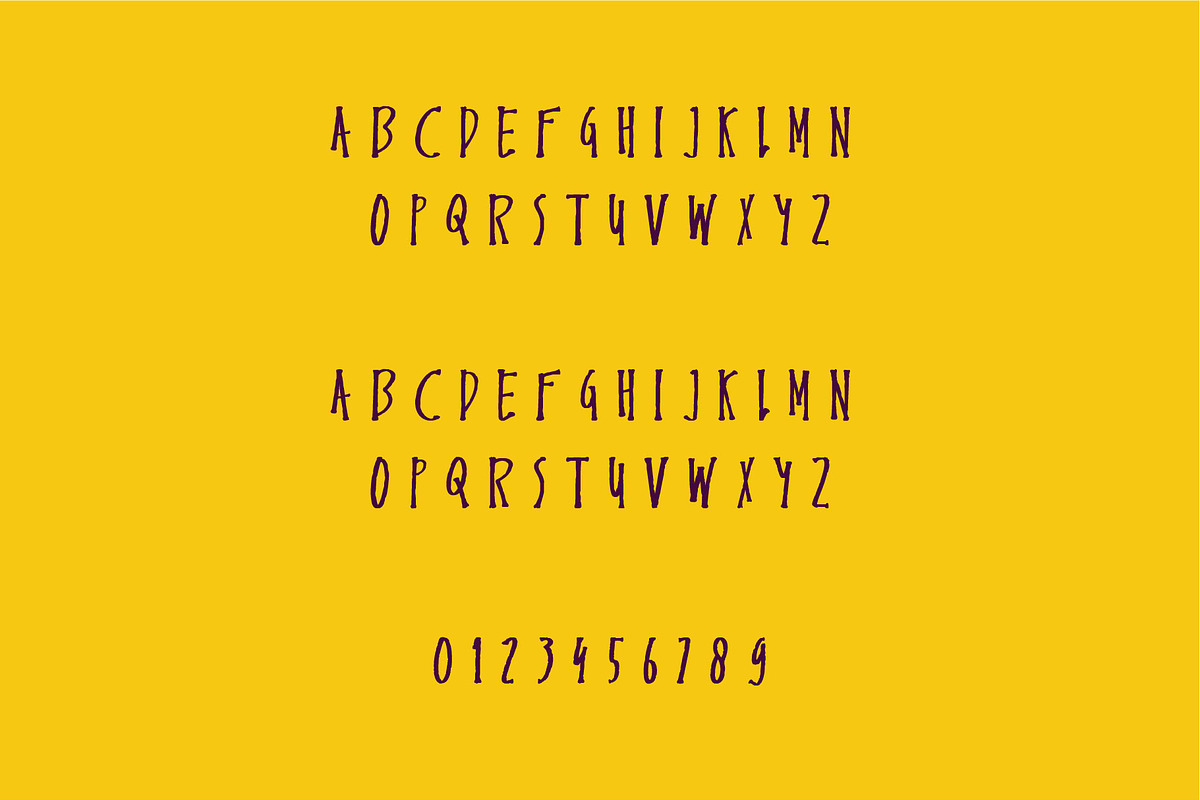 Endemic - Serif brush font, a Serif Font by WAP (Photo 4 of 5)