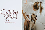 Buslliyan, a Script Font by pineungtype (Thumbnail 5 of 10)