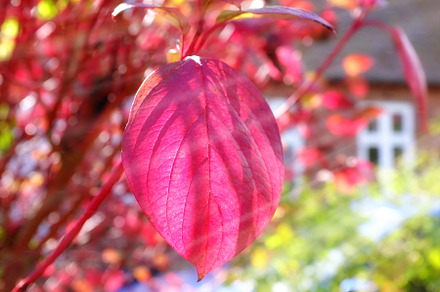 Nature in autumn, a Photo by Peopleimages.com