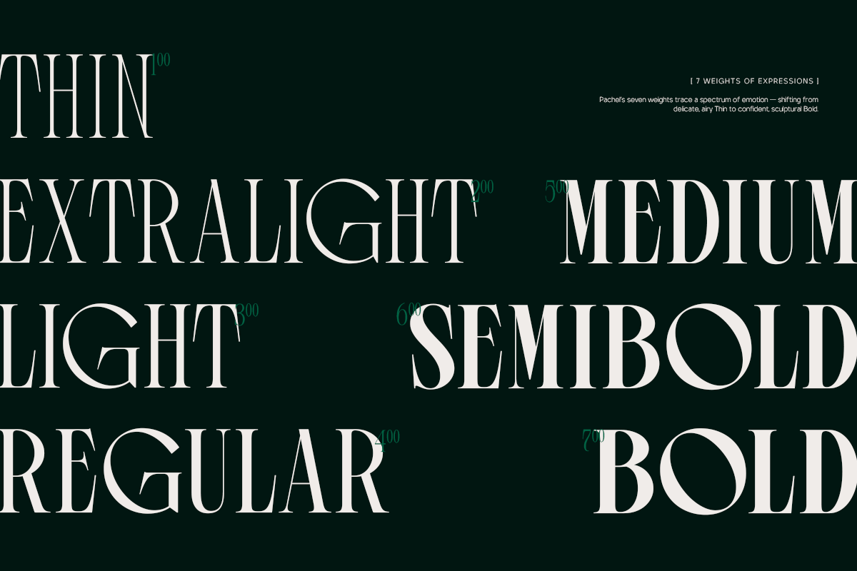 TRT Pachel Luxury Editorial Serif, a Serif Font by truetype (Photo 2 of 15)