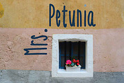 Mrs. Petunia, a Sans Serif Font by Treich Design (Thumbnail 2 of 4)