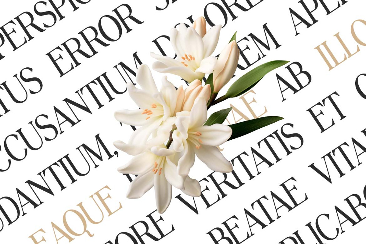 Grisandore Elegant Serif Font, a Serif Font by UICreative (Photo 13 of 13)