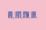 Pink Coast Typefaces, a Blackletter Font by Emyself Design (Thumbnail 8 of 13)