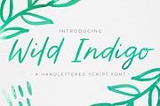 Wild Indigo Script Font, a Script Font by Allie Richardson Design (Thumbnail 1 of 7)