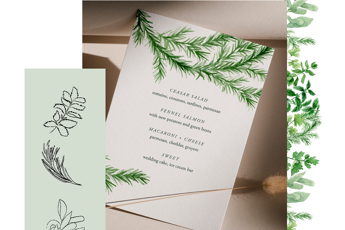Watercolor Herb Collection, an Illustration by One and Only Paper (Photo 7 of 7)