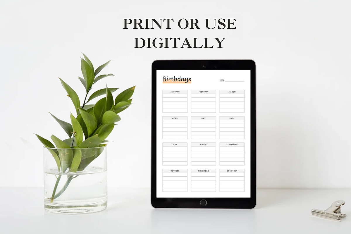 Canva Birthday Planner, a Stationery Template by DesignDevisers (Photo 7 of 9)