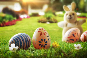Easter Eggs on Grass with Bunny in Garden, a Holiday Photo by Davizro's Market