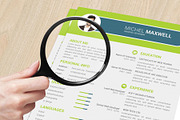 Professional Cv Resume, a Resume Template by designvillage (Thumbnail 10 of 12)