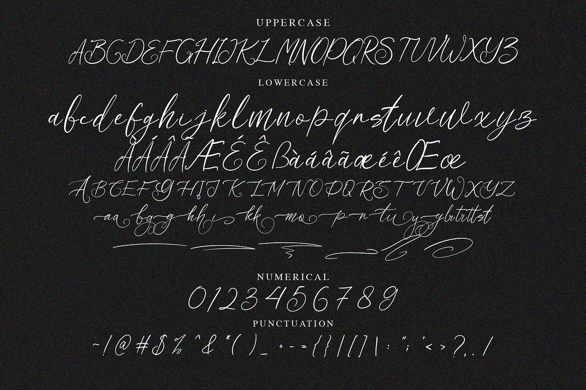 Wallingtong Elegant Script Font, a Script Font by NTC Graphic