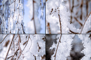 Frozen morning bundle /77pics, a Background Graphic by tydla (Thumbnail 2 of 12)
