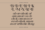 Ngetic Modern - Branding Logo Font, a Serif Font by Nirmana Visual (Thumbnail 7 of 10)