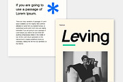 Galvanizer Sans Serif Display Family, a Sans Serif Font by UICreative (Thumbnail 6 of 13)