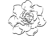 Decorative Floral Mandala Rose Butte, an Object Illustration by Designer_Momina (Thumbnail 3 of 21)