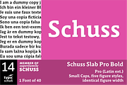 SchussSlabProBold No.14 (1 Font), a Slab Serif Font by typic schuss (Thumbnail 1 of 6)