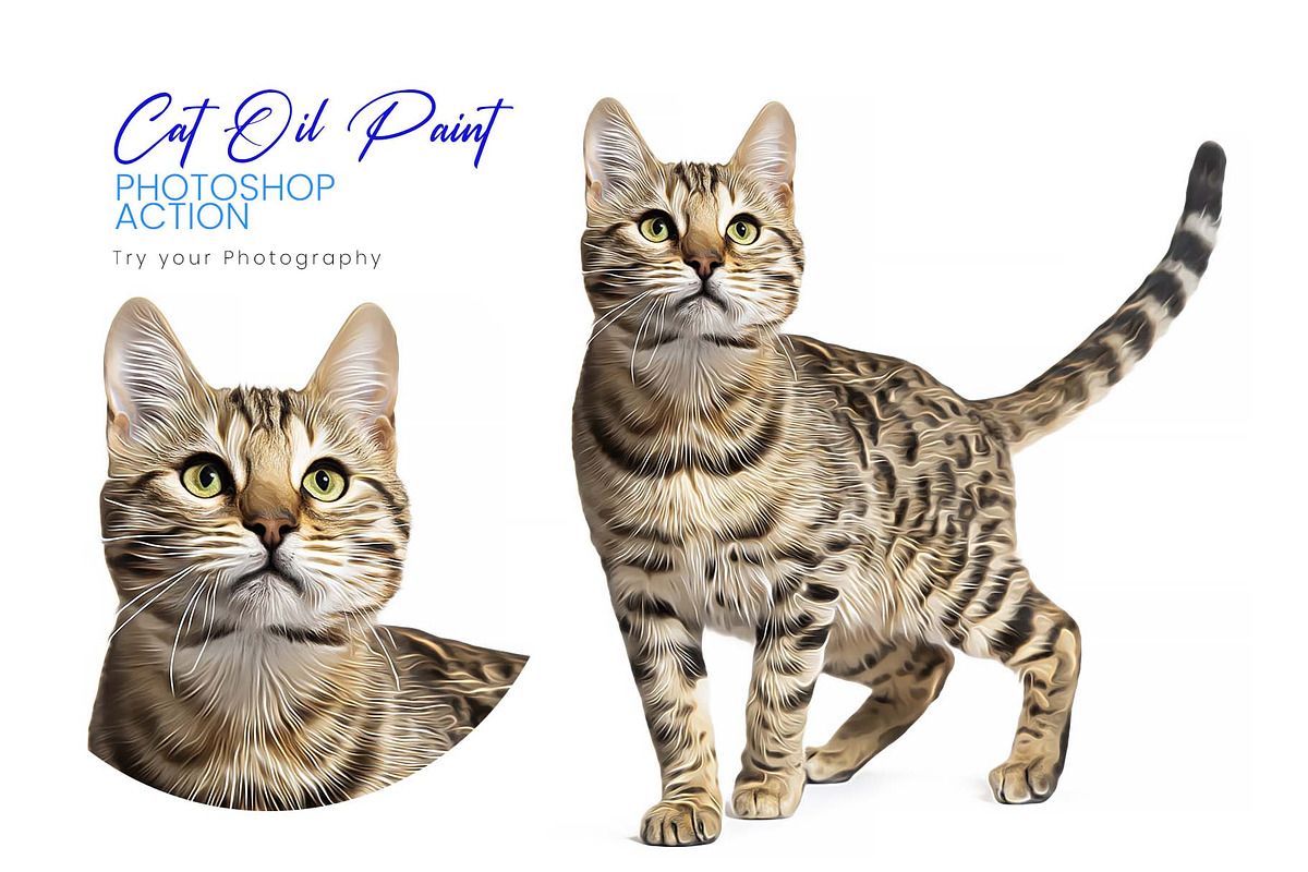 Cat and Pet Oil Painting, an Action Add-On by MRI STUDIO (Photo 2 of 17)