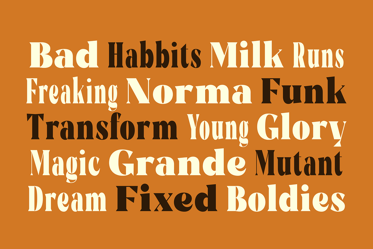 Rigam Complete Family, a Serif Font by Fitrah Type (Photo 3 of 15)