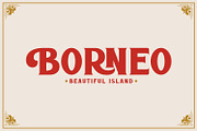 ROTTELY - DISPLAY FONT, a Serif Font by din-studio.com (Thumbnail 2 of 11)