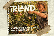Hustle Jungle - Ligature Rough Font, a Handwritten Font by Bale Type (Thumbnail 3 of 10)