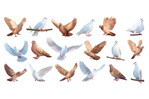 Doves set. White brown dove, bird, an Animal Illustration by Stock-Smart-Start