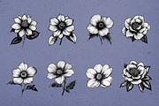 38 Classic Flower Illustration, a Decorative Illustration by Alternate Studio (Thumbnail 2 of 6)