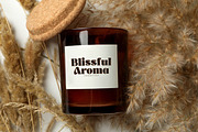 Misflen Radio Modern Bold Serif, a Serif Font by Letterena Studios (Thumbnail 9 of 15)