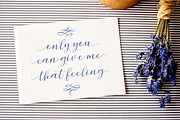Sentosha Script, a Script Font by Areatype (Thumbnail 3 of 8)