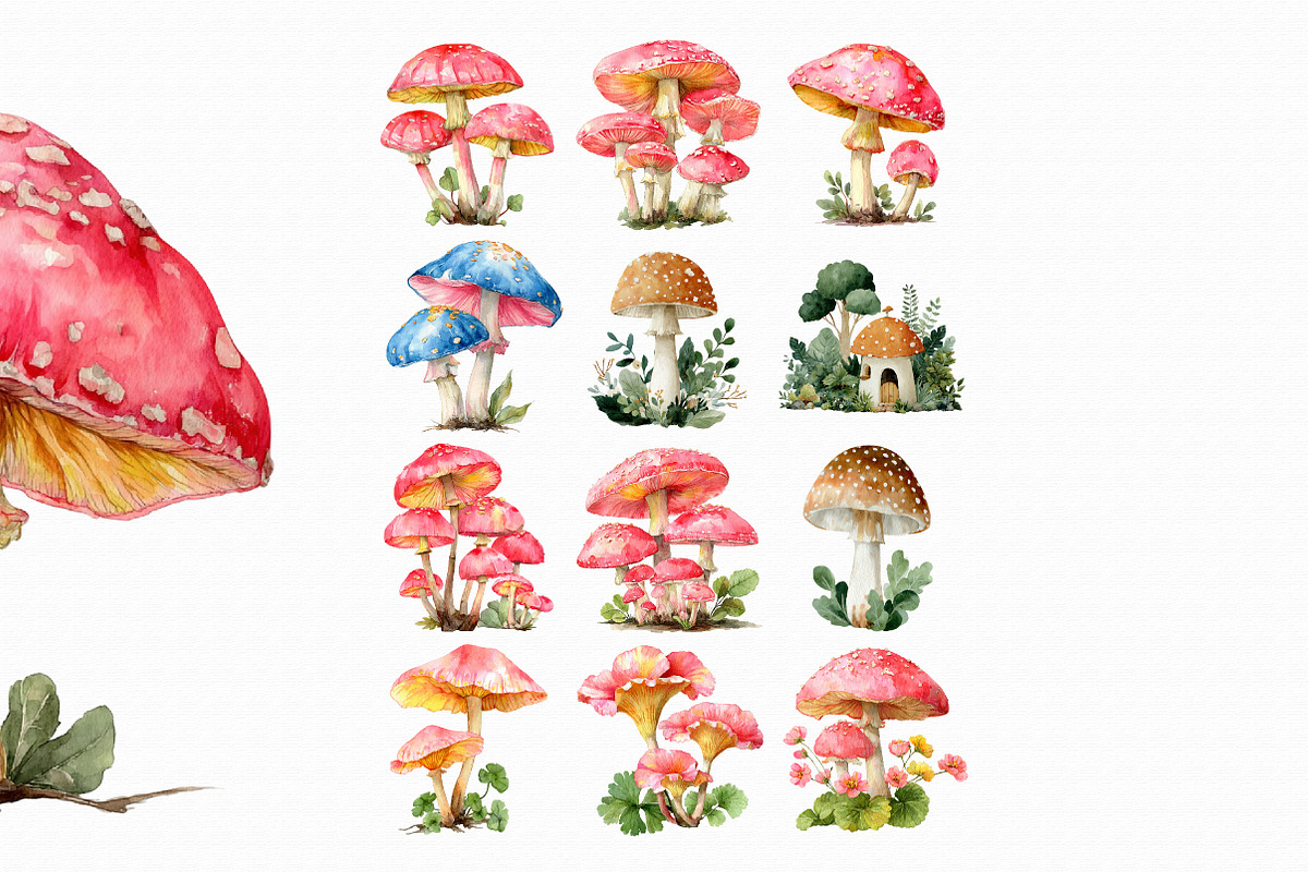 Watercolor Mushrooms clipart, an Illustration by Libby Wishes (Photo 4 of 4)