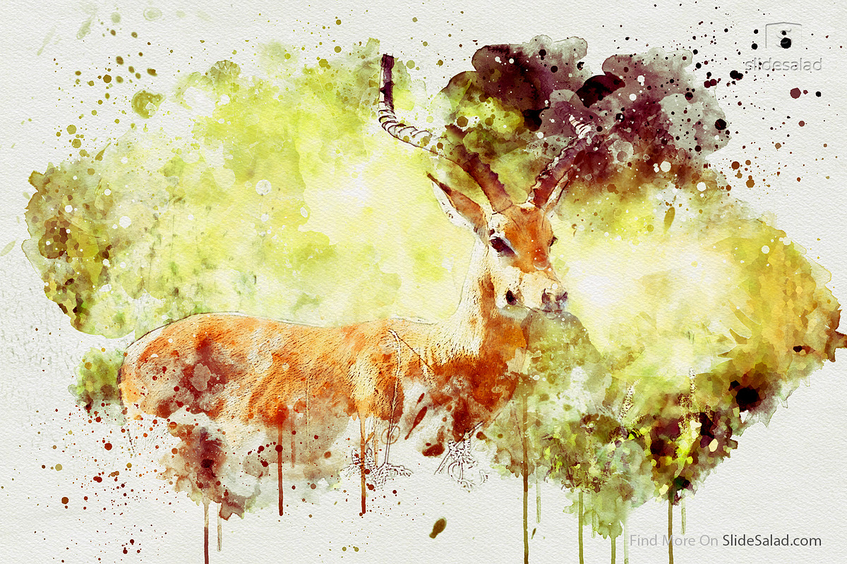 Watercolor Photoshop Mock-ups, an Action Add-On by SlideSalad (Photo 20 of 36)