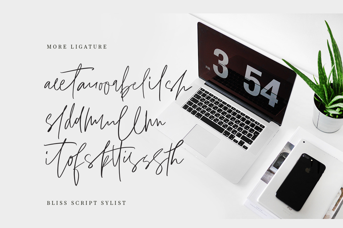 Bliss Script Stylist! preview 7