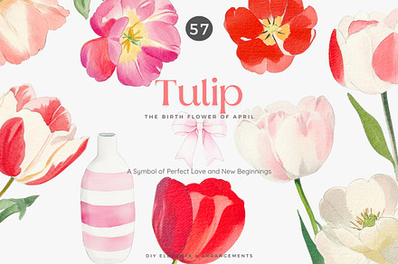 watercolor clipart tulip set, a Decorative Illustration by Patishop Art