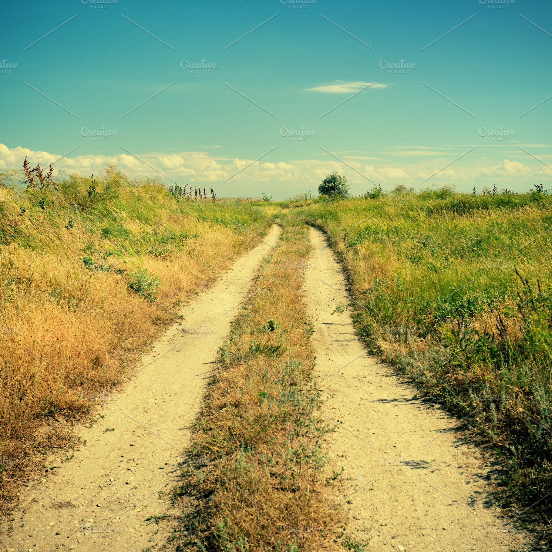 Landscape With Country Road