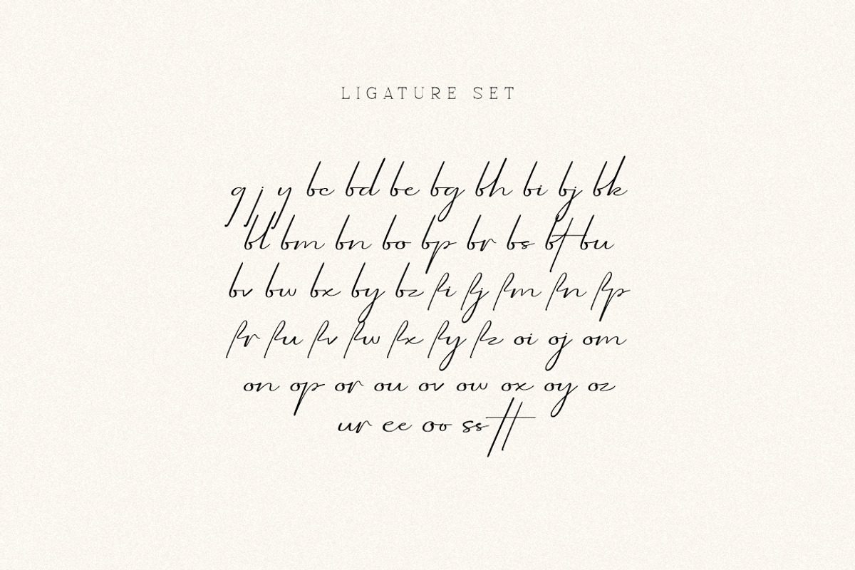 Aurantiaca Signature Font, a Handwritten Font by Burhan Afif (Photo 9 of 10)