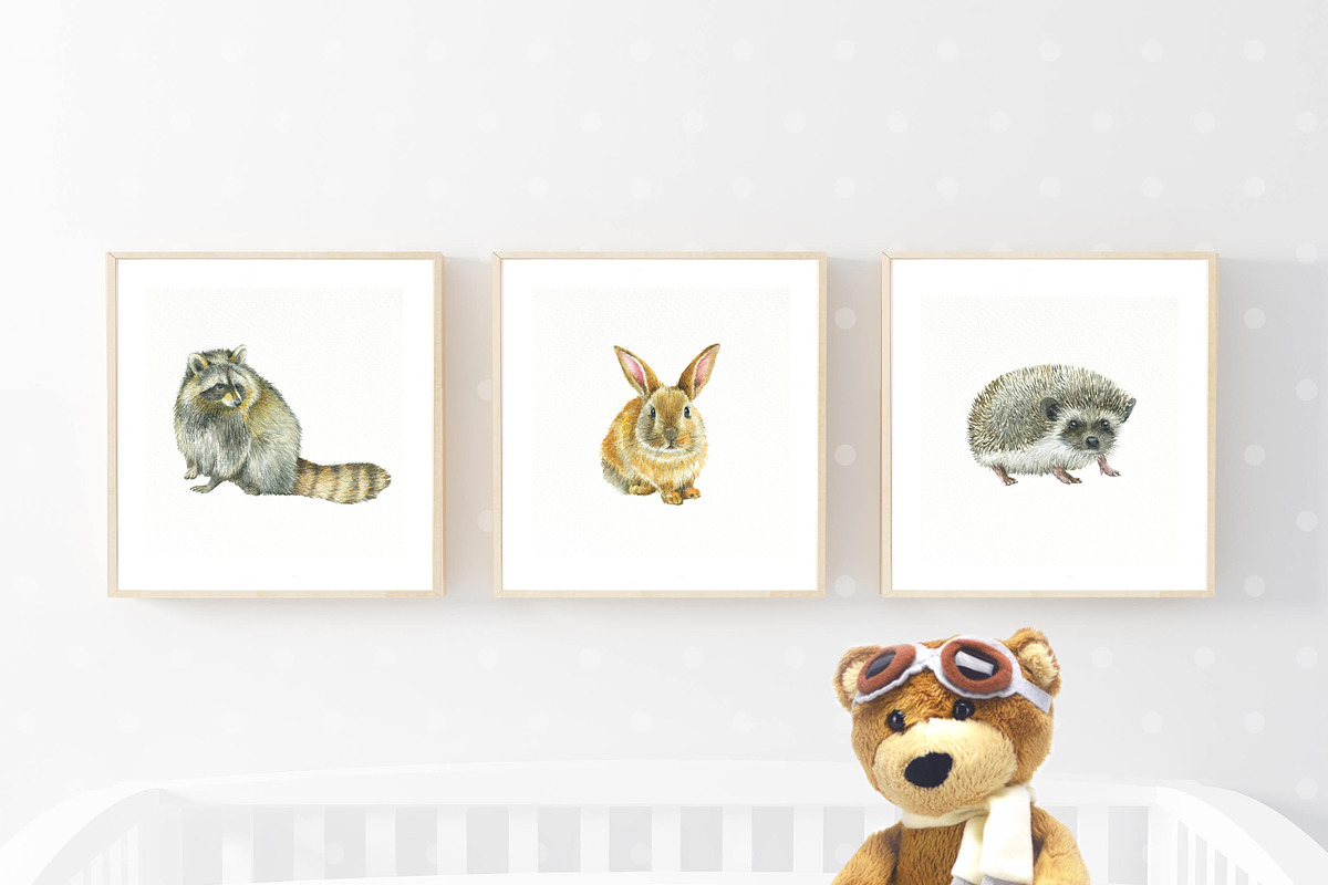 Forest Story Watercolor Collection, an Animal Illustration by Nastilustra (Photo 7 of 8)