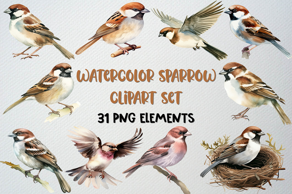 Watercolor Sparrow Clipart Set, an Animal Illustration by CropUp Creative (Photo 1 of 5)