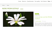 Dr. Sigmund - Wordpress Theme, a WordPress Template by inSTUDIO43 (Thumbnail 3 of 6)