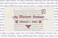 1589 Humane Bordeaux Set