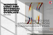 Minimal Window and Botanical Shadow, a Background Graphic by C-Kav (Thumbnail 1 of 8)