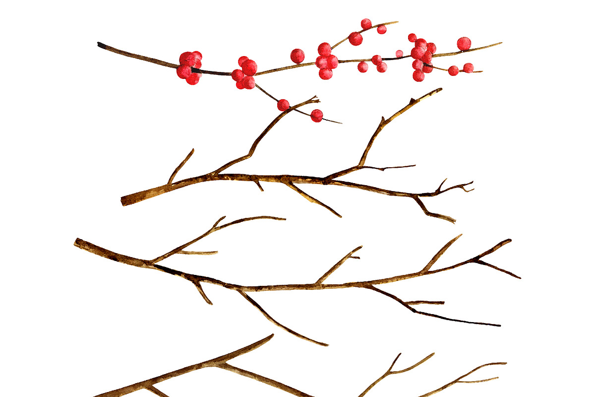 Autumn Herbarium Watercolor Clipart, a Background Graphic by Watercolor Clipart (Photo 3 of 4)
