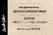 Darelle Collins Modern Script Font, a Script Font by Ronny Studio (Thumbnail 8 of 9)