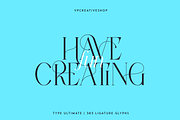 Type Ultimate - serif logo font, a Serif Font by VP Fonts (Thumbnail 23 of 24)